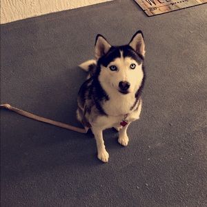 Meet your Posher, Ary